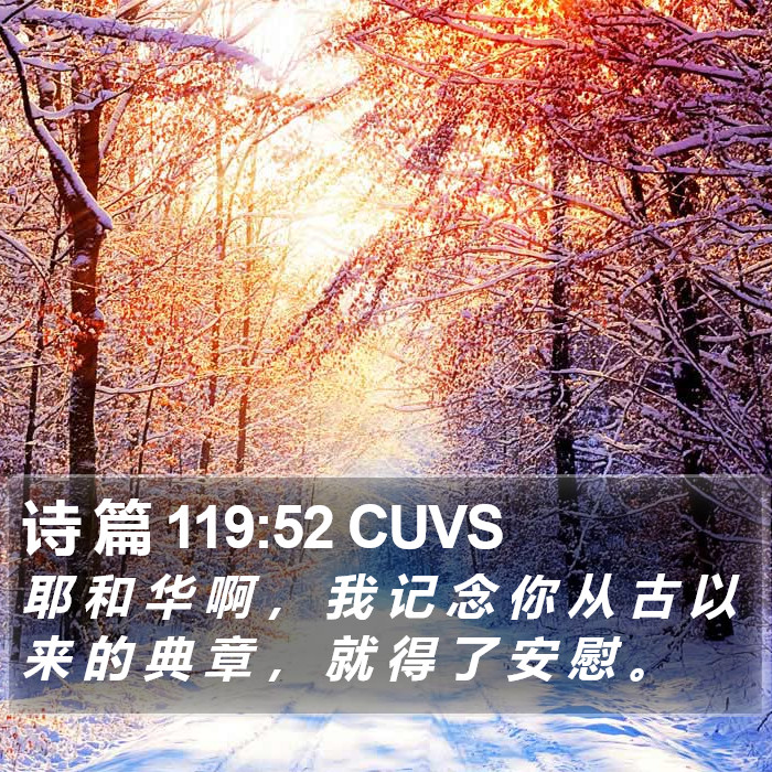 诗 篇 119:52 CUVS Bible Study