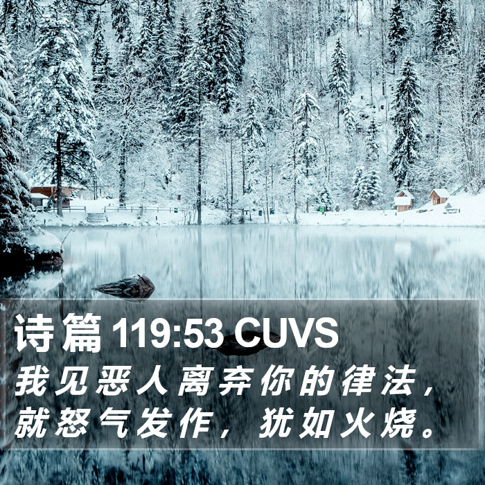 诗 篇 119:53 CUVS Bible Study