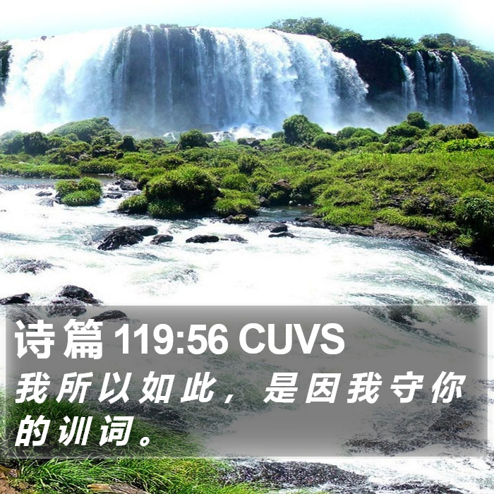 诗 篇 119:56 CUVS Bible Study