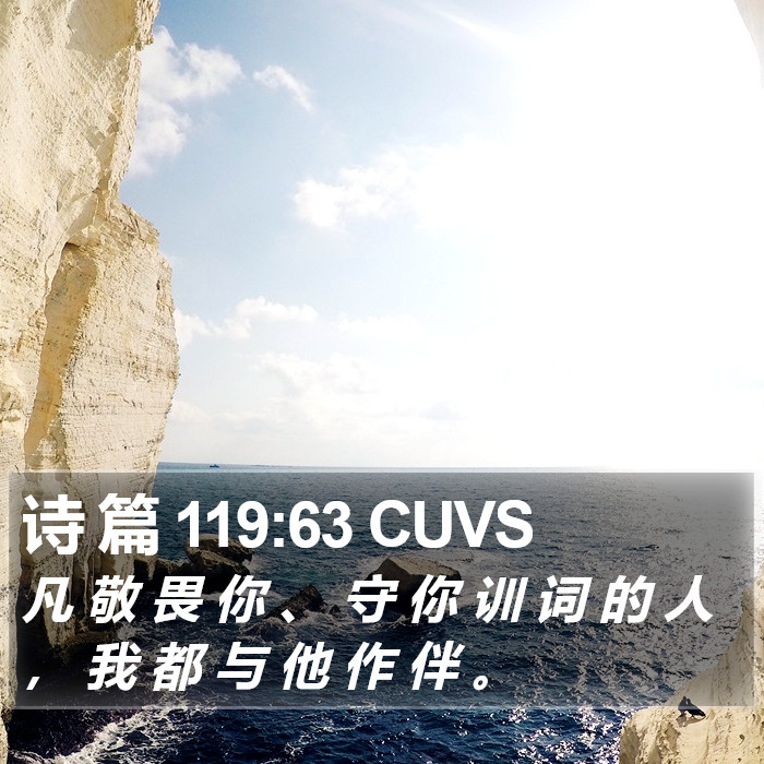 诗 篇 119:63 CUVS Bible Study