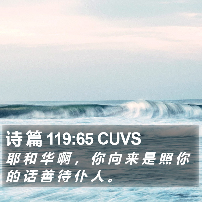 诗 篇 119:65 CUVS Bible Study