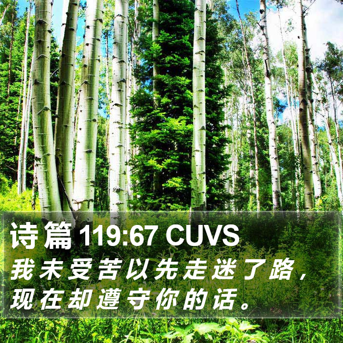 诗 篇 119:67 CUVS Bible Study