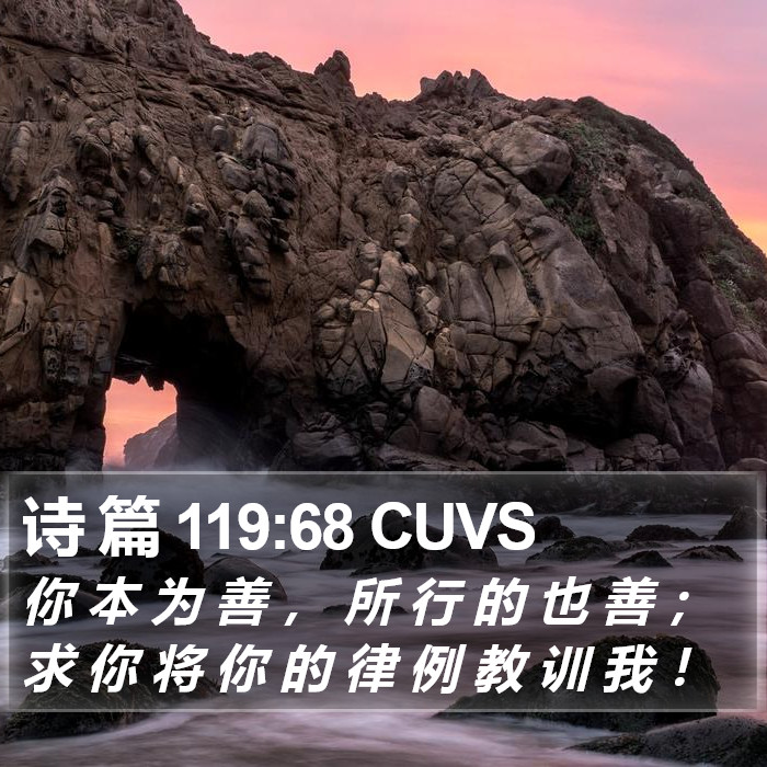 诗 篇 119:68 CUVS Bible Study