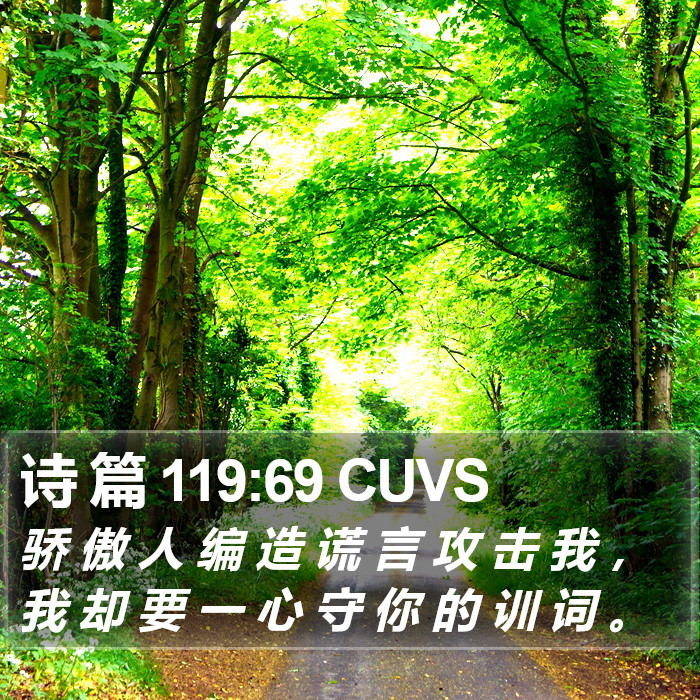 诗 篇 119:69 CUVS Bible Study