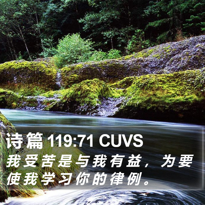 诗 篇 119:71 CUVS Bible Study