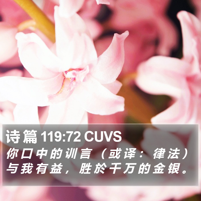 诗 篇 119:72 CUVS Bible Study