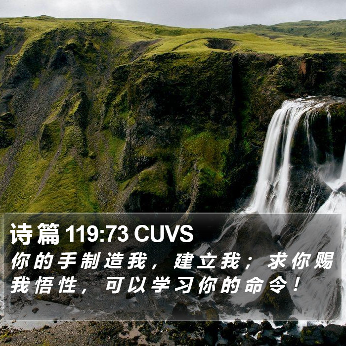 诗 篇 119:73 CUVS Bible Study