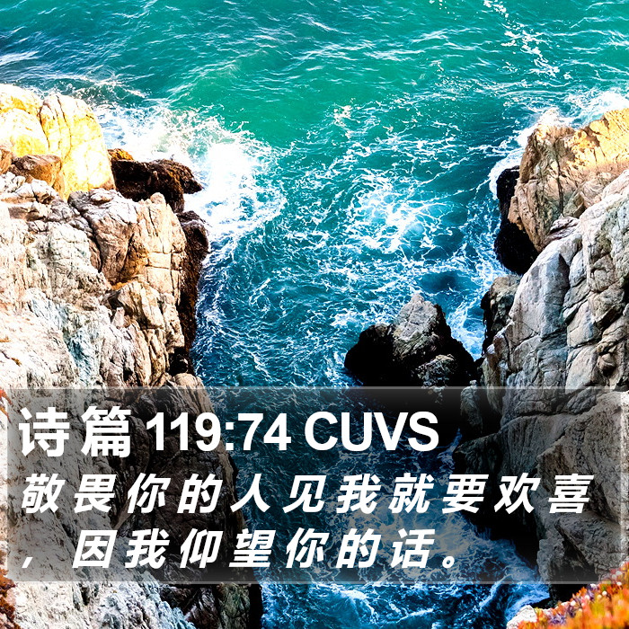 诗 篇 119:74 CUVS Bible Study