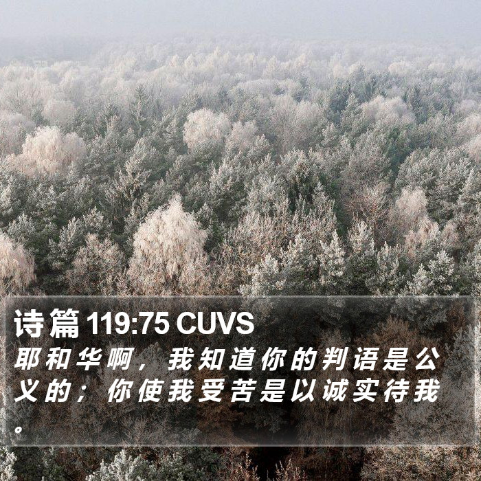 诗 篇 119:75 CUVS Bible Study