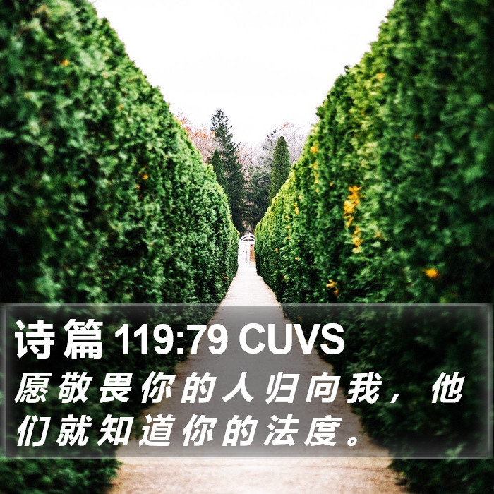 诗 篇 119:79 CUVS Bible Study