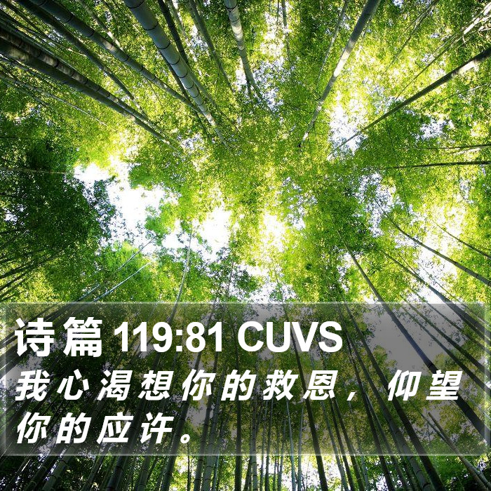 诗 篇 119:81 CUVS Bible Study