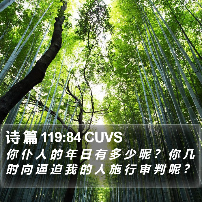 诗 篇 119:84 CUVS Bible Study