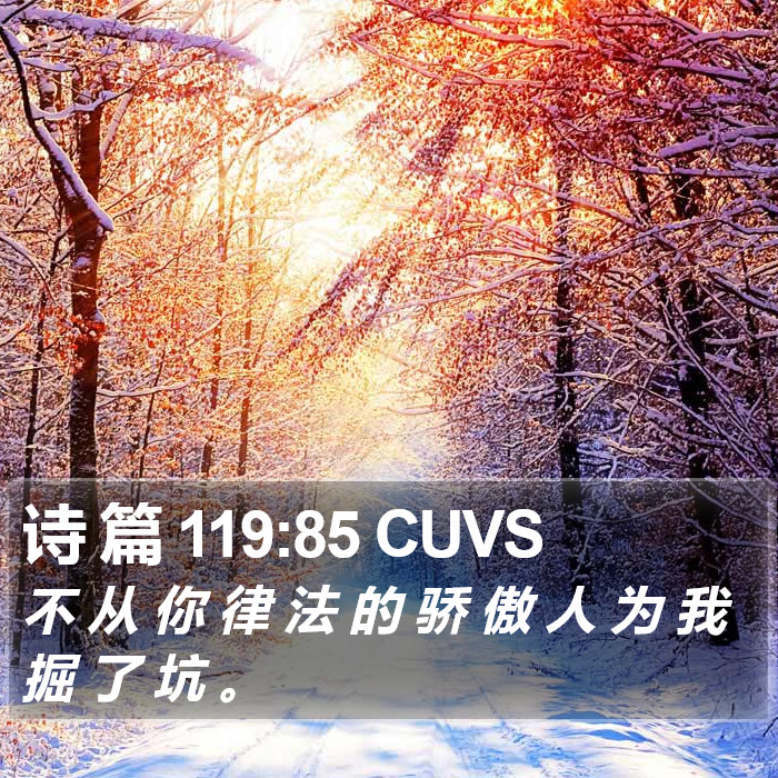 诗 篇 119:85 CUVS Bible Study