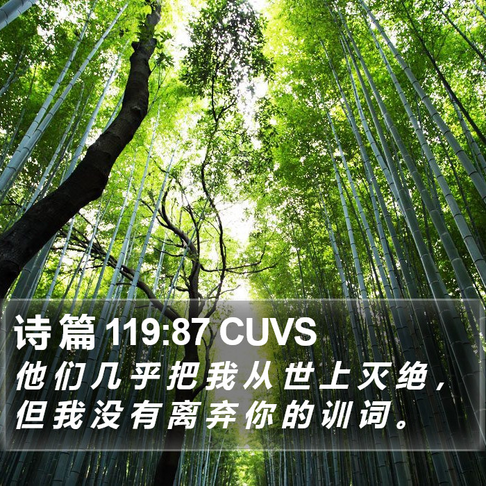 诗 篇 119:87 CUVS Bible Study