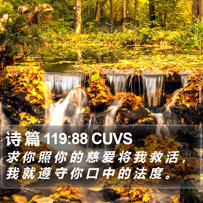 诗 篇 119:88 CUVS Bible Study