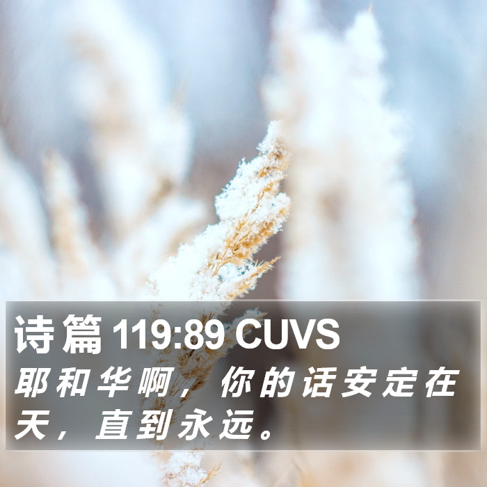 诗 篇 119:89 CUVS Bible Study