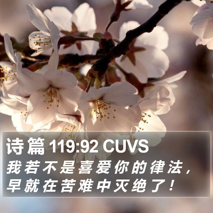 诗 篇 119:92 CUVS Bible Study