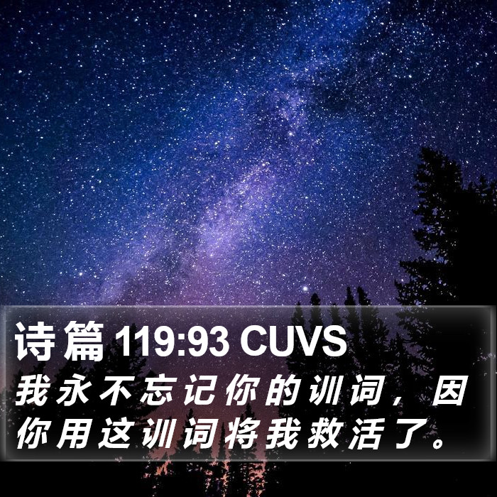 诗 篇 119:93 CUVS Bible Study