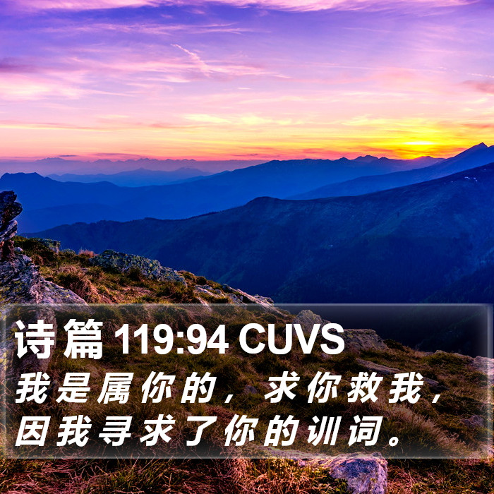 诗 篇 119:94 CUVS Bible Study