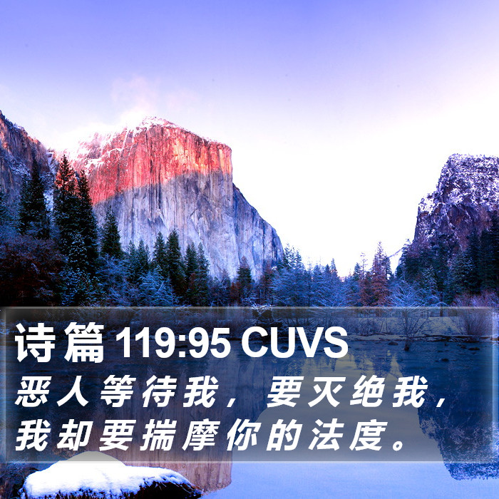 诗 篇 119:95 CUVS Bible Study