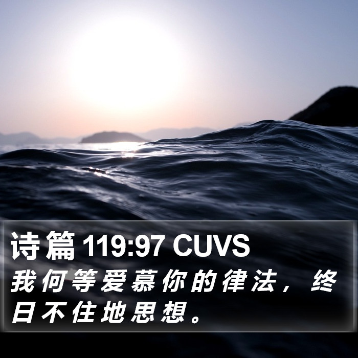 诗 篇 119:97 CUVS Bible Study