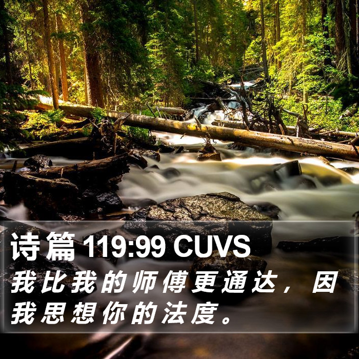 诗 篇 119:99 CUVS Bible Study