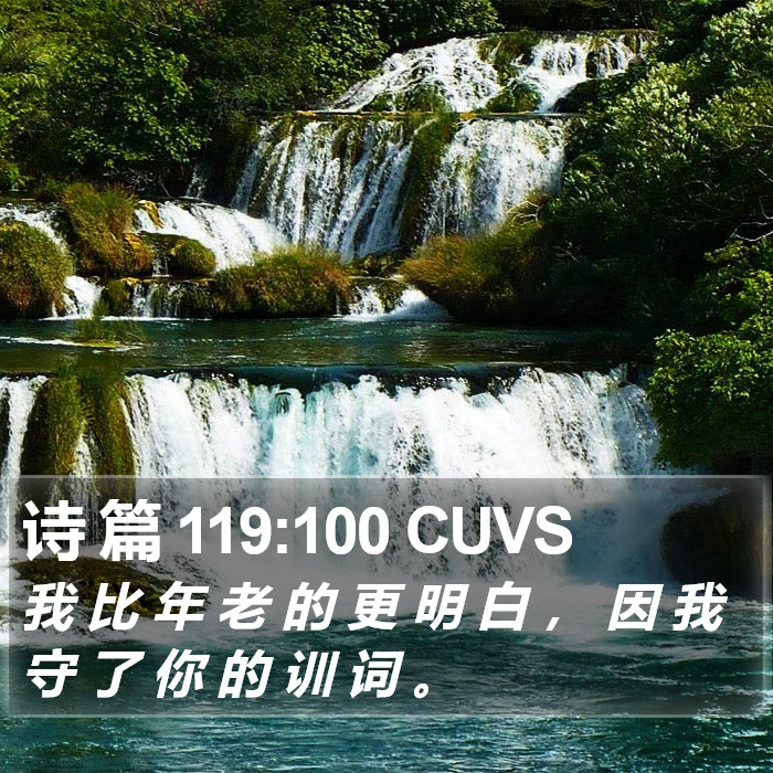 诗 篇 119:100 CUVS Bible Study