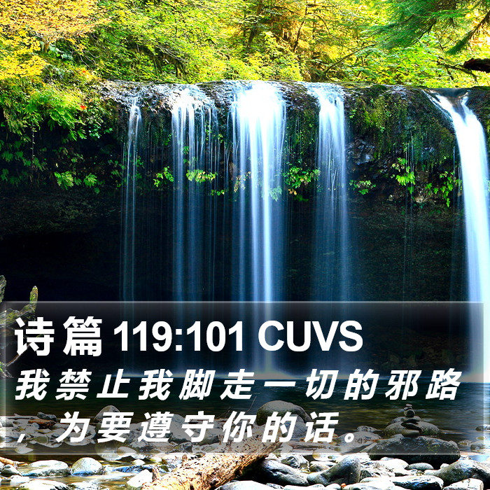 诗 篇 119:101 CUVS Bible Study