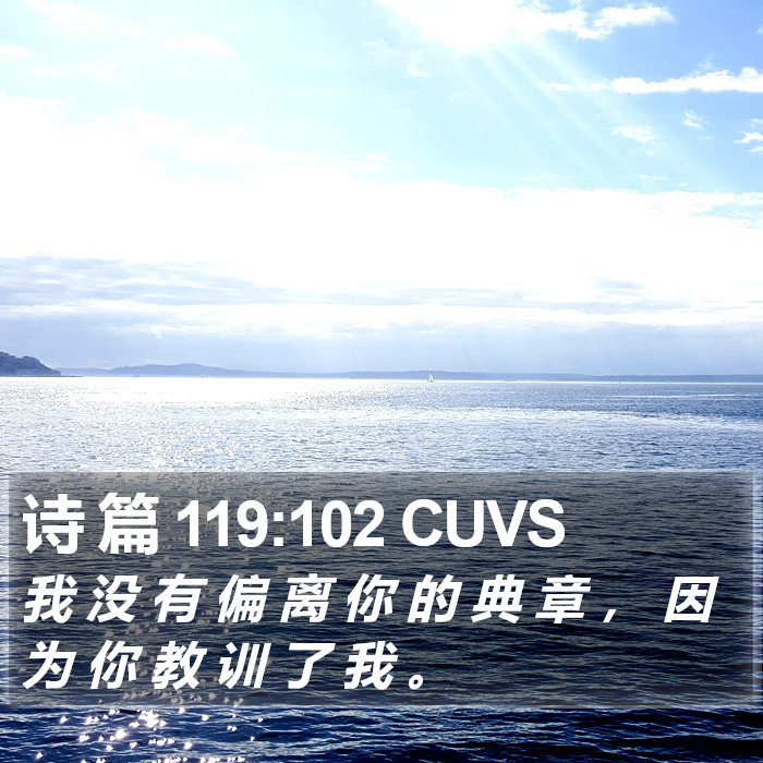 诗 篇 119:102 CUVS Bible Study