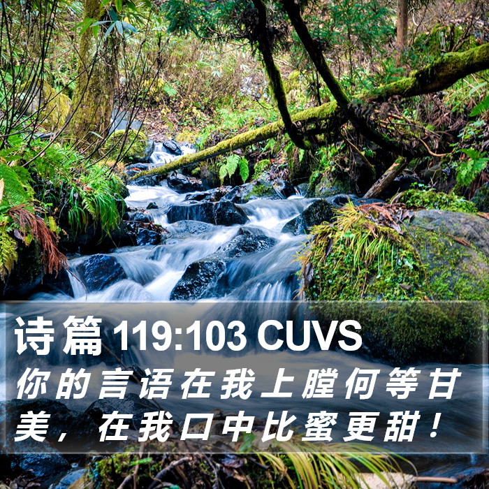 诗 篇 119:103 CUVS Bible Study