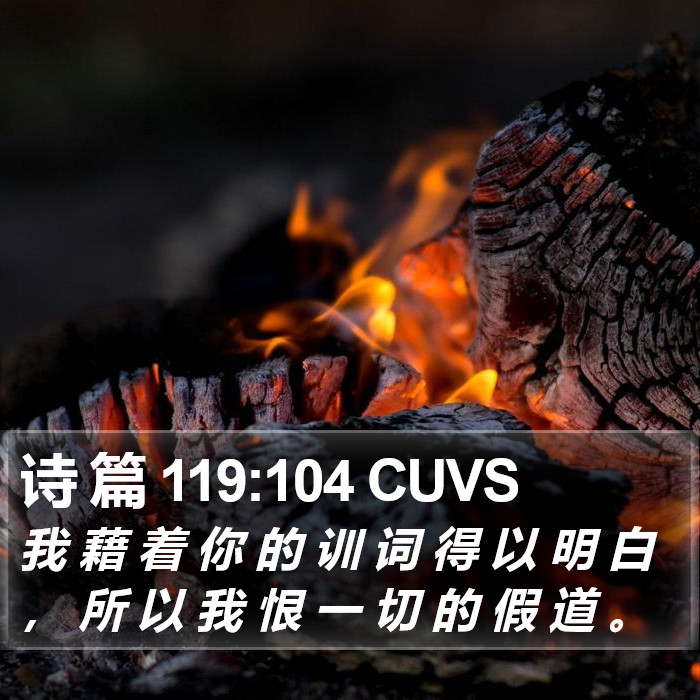 诗 篇 119:104 CUVS Bible Study