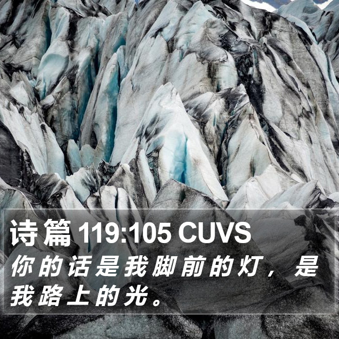 诗 篇 119:105 CUVS Bible Study