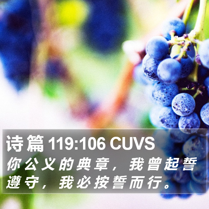 诗 篇 119:106 CUVS Bible Study