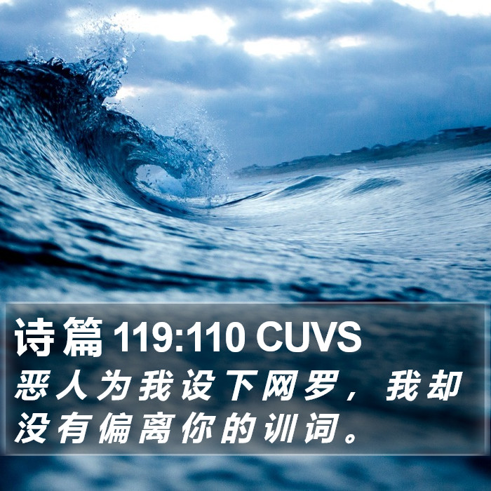 诗 篇 119:110 CUVS Bible Study