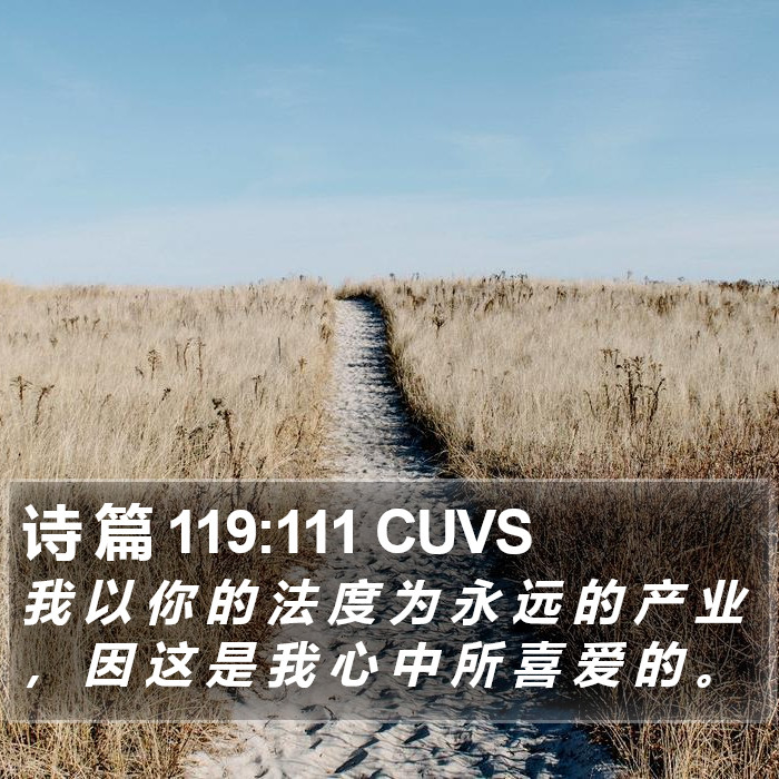 诗 篇 119:111 CUVS Bible Study