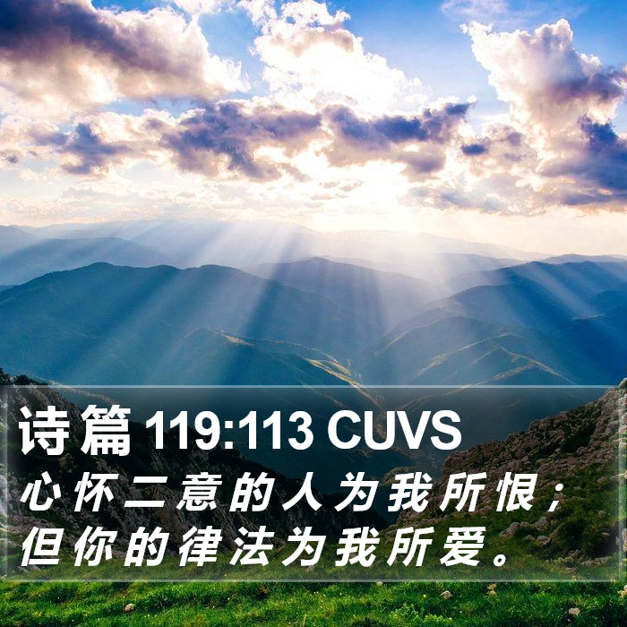 诗 篇 119:113 CUVS Bible Study