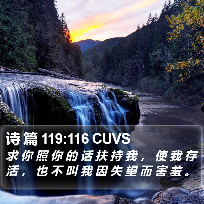 诗 篇 119:116 CUVS Bible Study