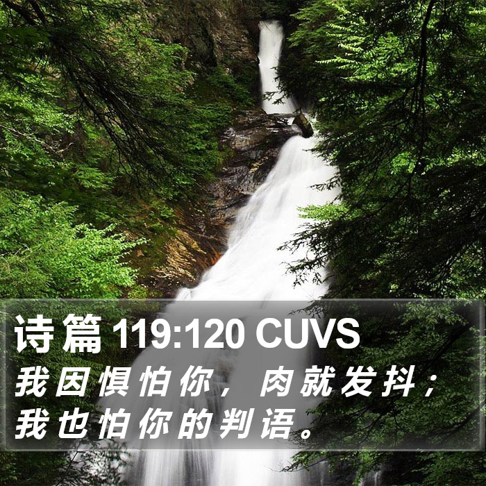 诗 篇 119:120 CUVS Bible Study