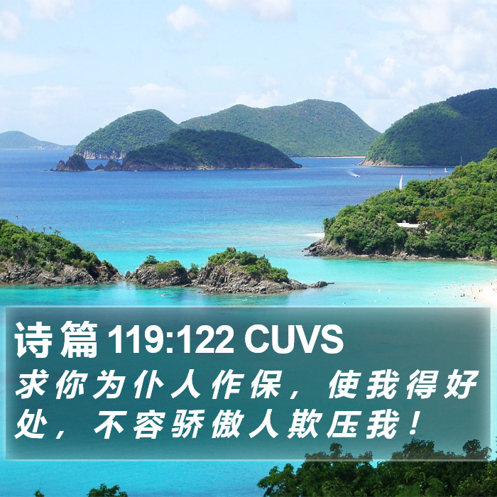 诗 篇 119:122 CUVS Bible Study