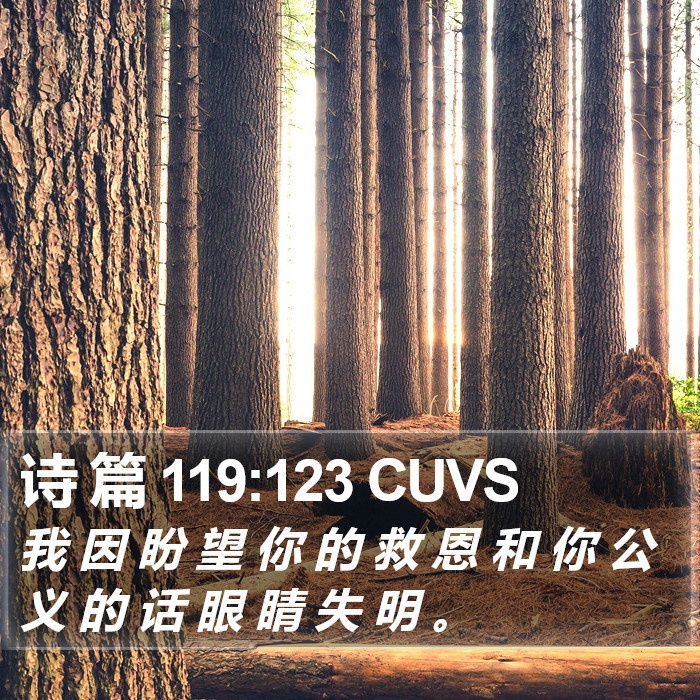 诗 篇 119:123 CUVS Bible Study