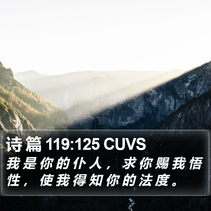 诗 篇 119:125 CUVS Bible Study