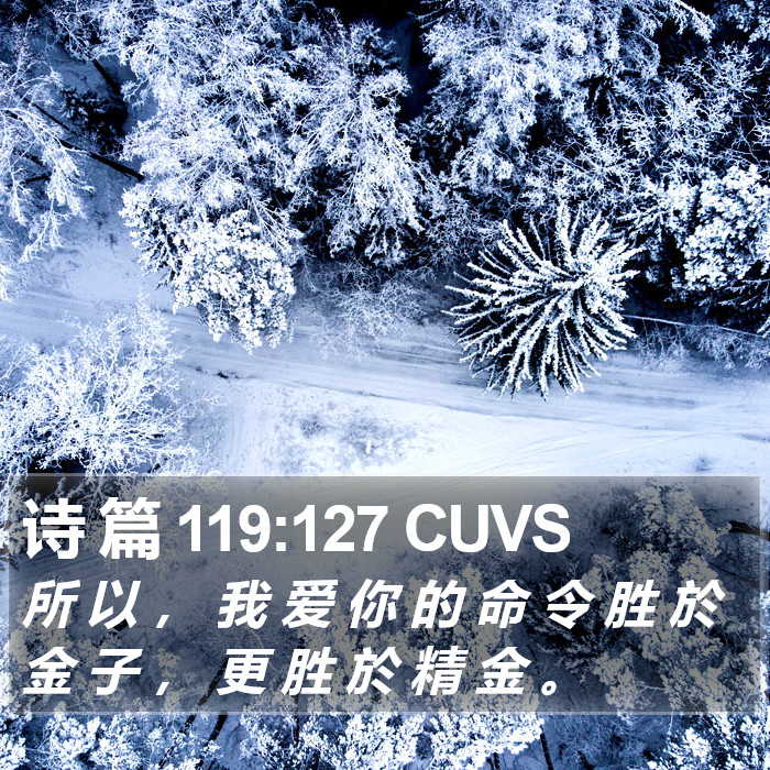 诗 篇 119:127 CUVS Bible Study