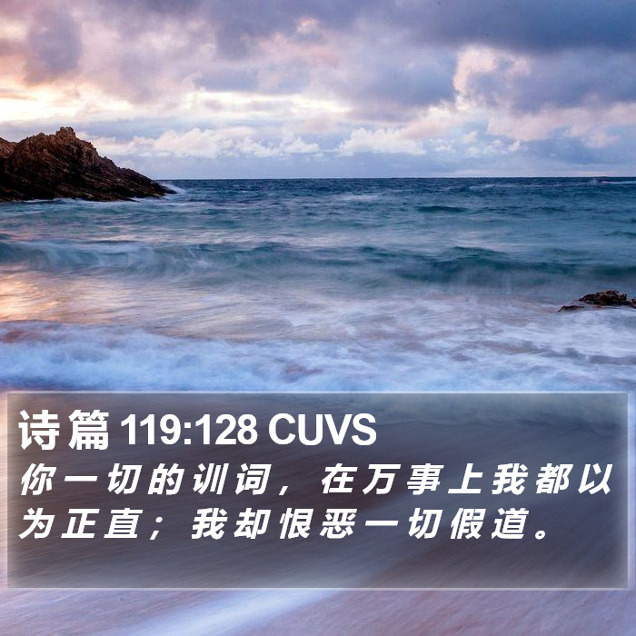 诗 篇 119:128 CUVS Bible Study