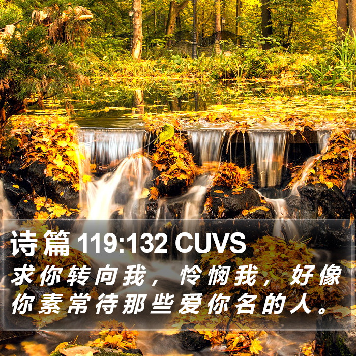 诗 篇 119:132 CUVS Bible Study