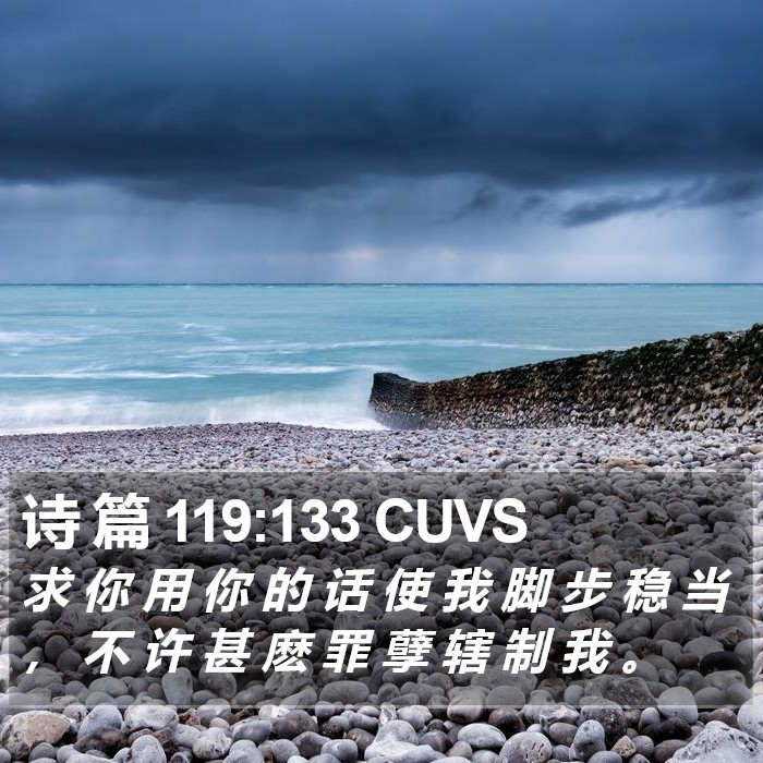 诗 篇 119:133 CUVS Bible Study