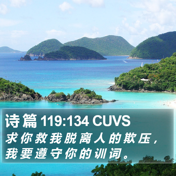 诗 篇 119:134 CUVS Bible Study