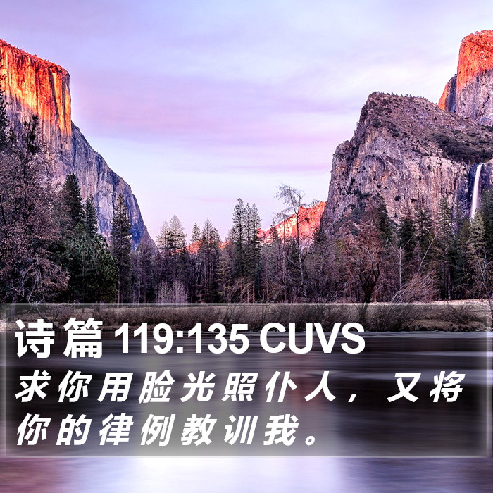 诗 篇 119:135 CUVS Bible Study