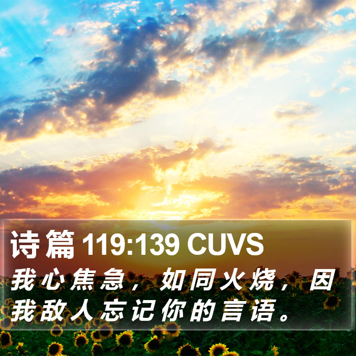 诗 篇 119:139 CUVS Bible Study