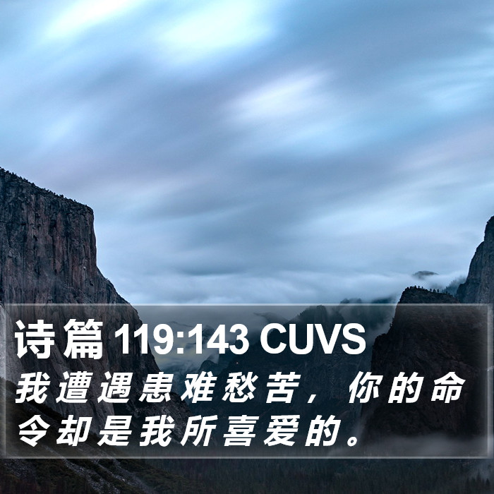 诗 篇 119:143 CUVS Bible Study