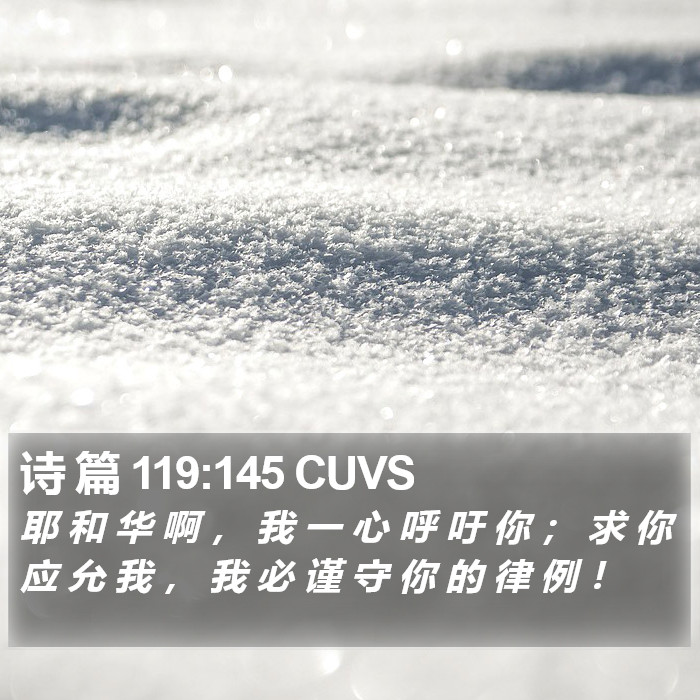 诗 篇 119:145 CUVS Bible Study